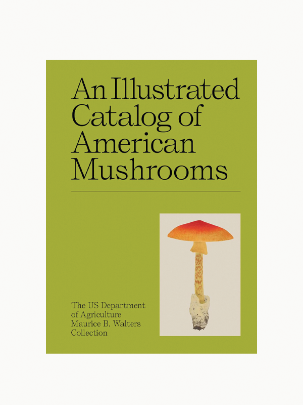MushroomCover.png