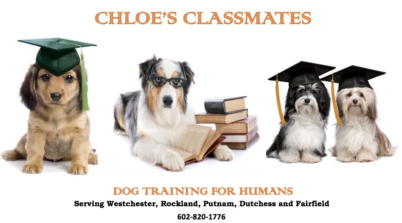 Chloe&#39;s Classmates
