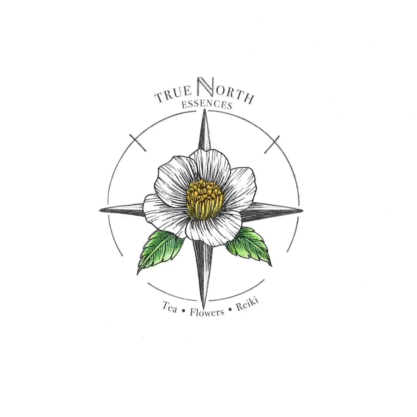 True North Essences