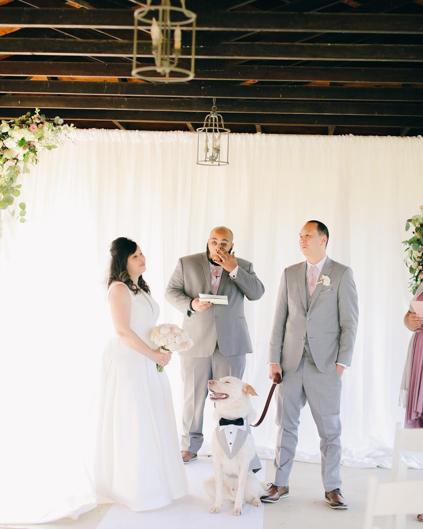 Throwing it back to this beautiful micro wedding during the pandemic (praying we all stay healthy &amp; don&rsquo;t experience that again). The fur babies were stealing the show! It&rsquo;s risky making your dog the ring bearer; we suggest giving the