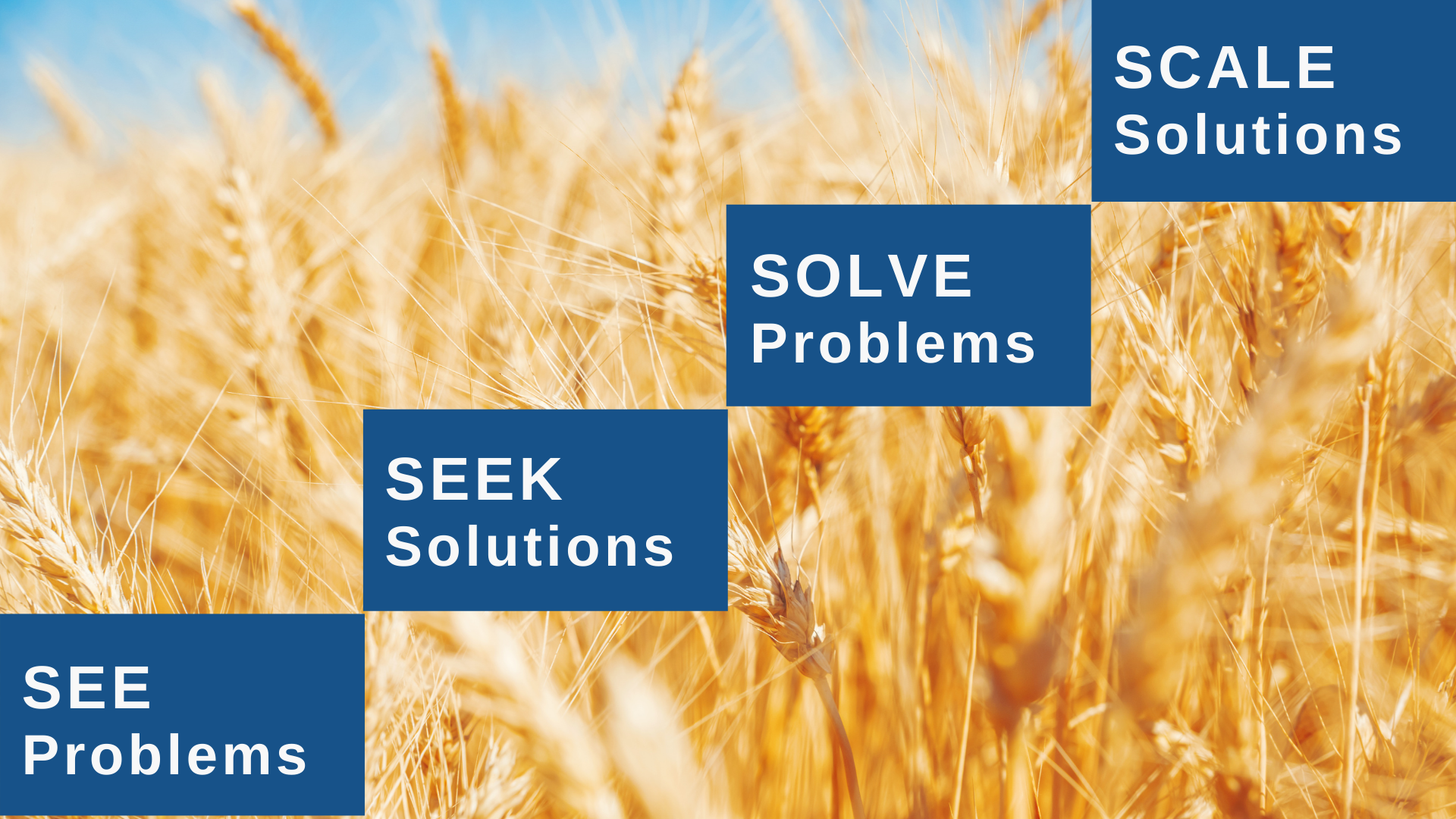 Let's Refocus Agrifood-Tech to Solve Today's Critical Problems — Better ...