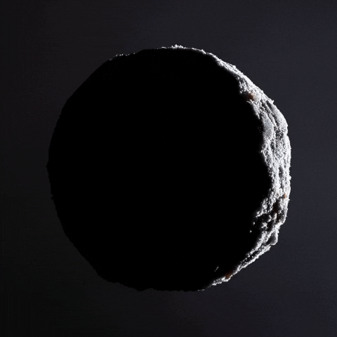 Moonchkin More Phases.gif