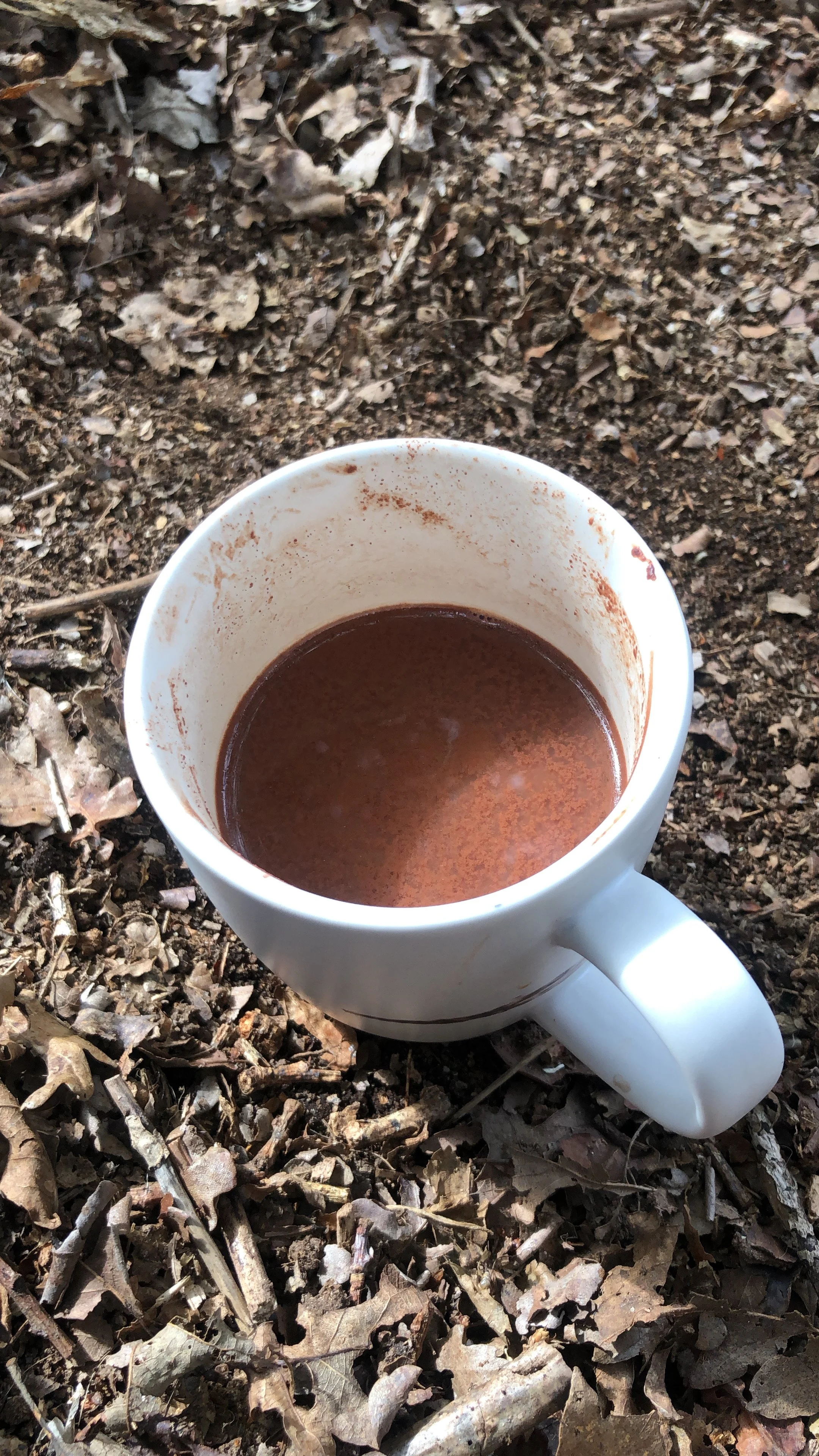 The Power of Ceremonial Cacao on the Nervous System