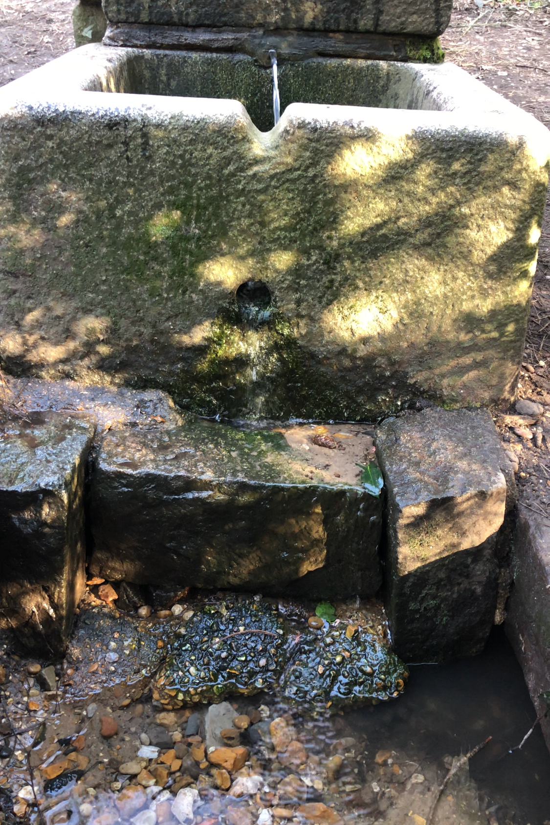 Craniosacral Therapy and Spirituality: Listening Beneath the Surface