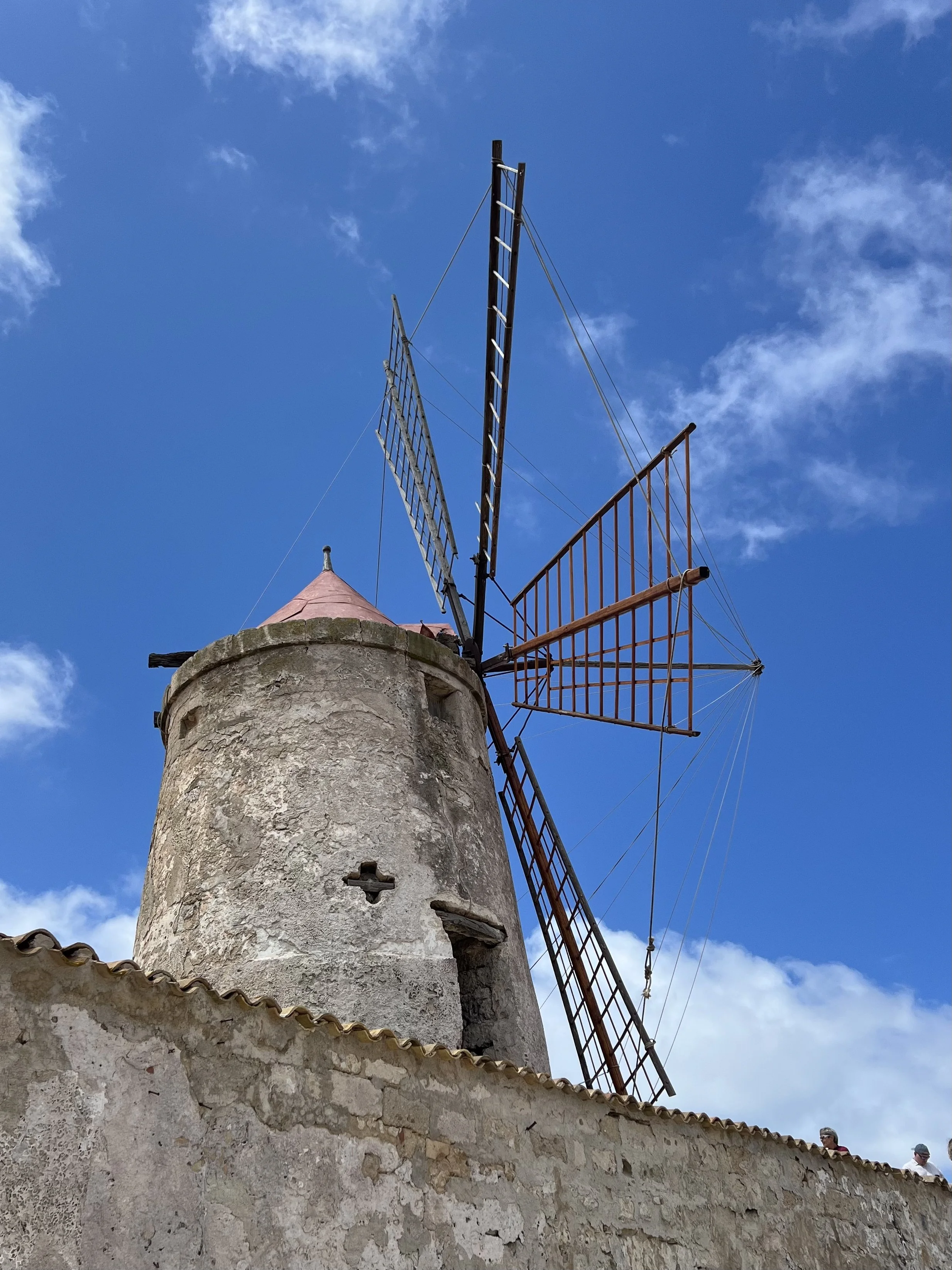 IMG_8435.jpeg