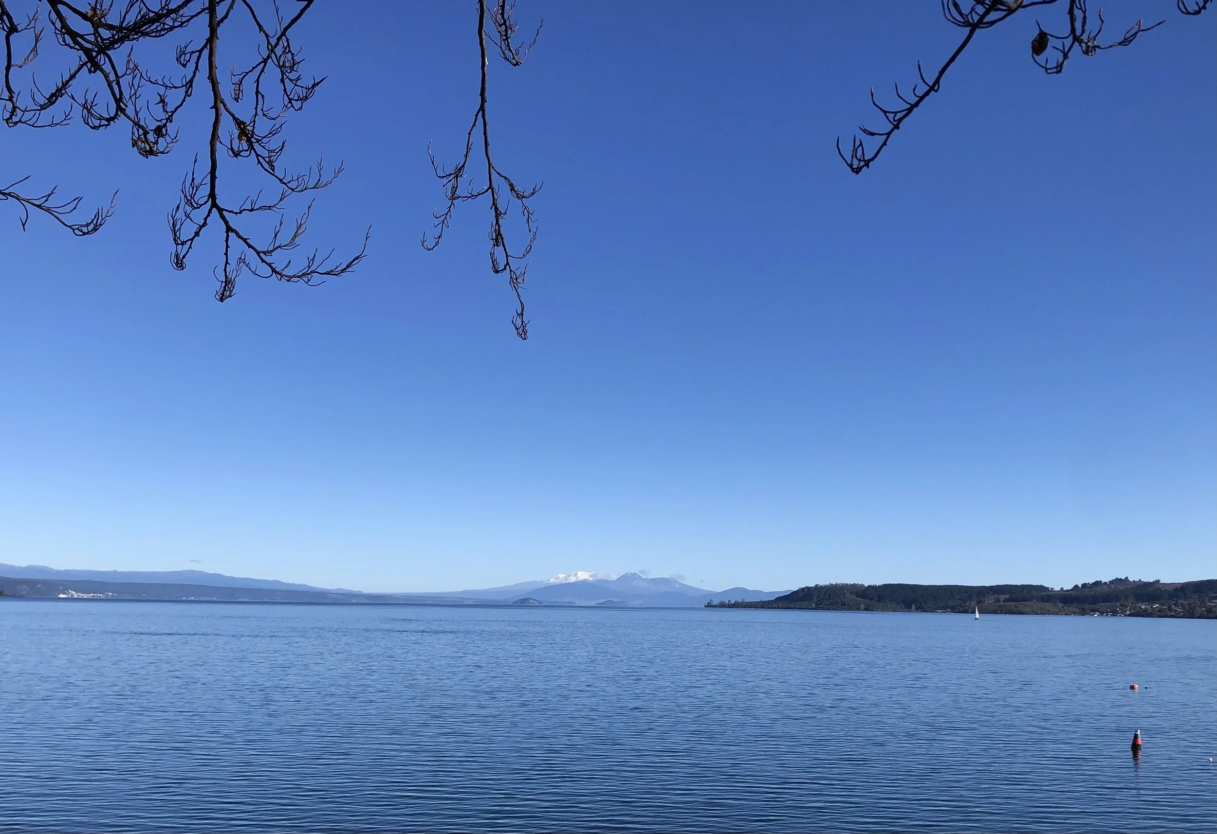 IMG_1596.jpeg