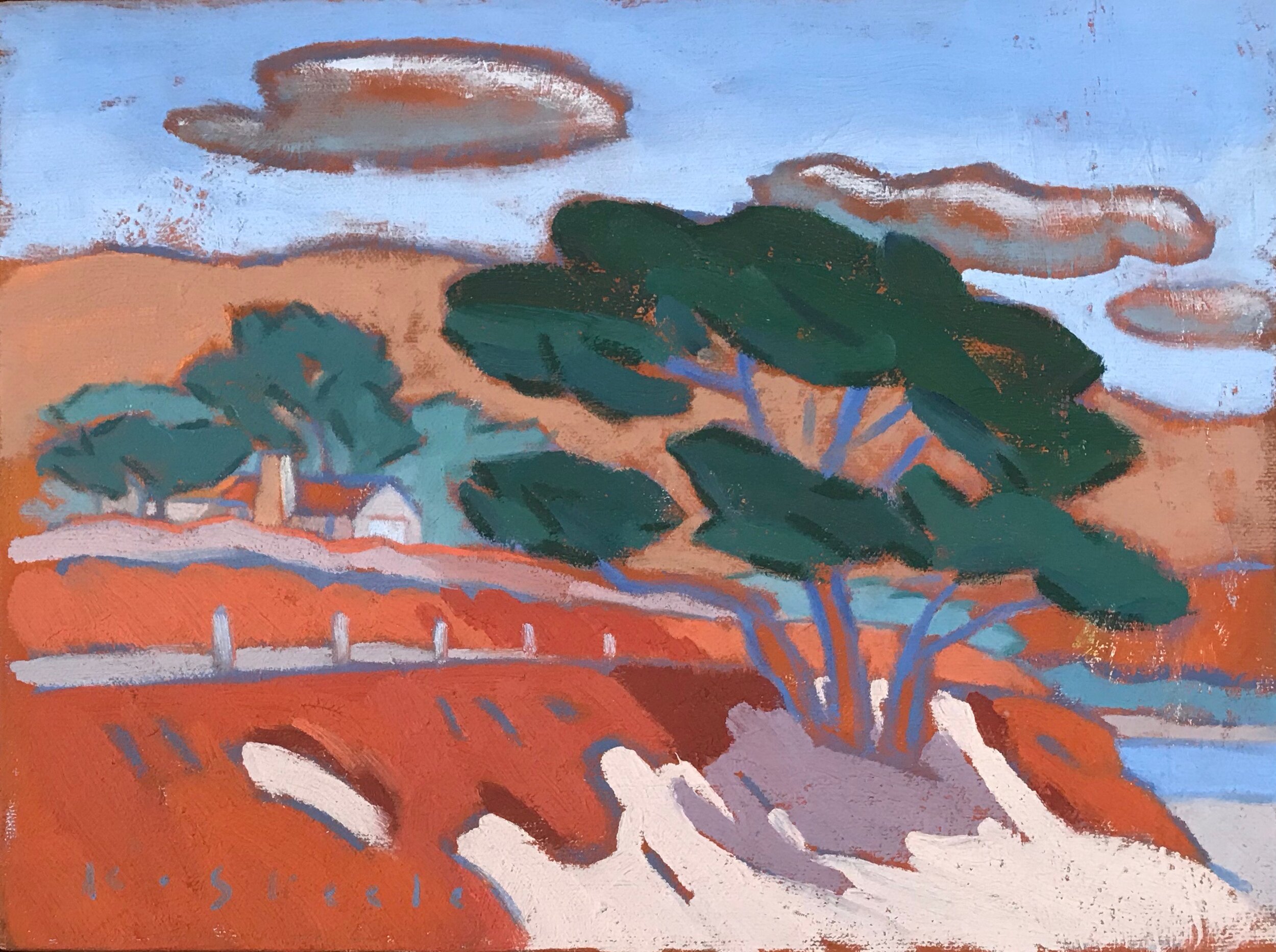 Cypress with Red Ice Plant