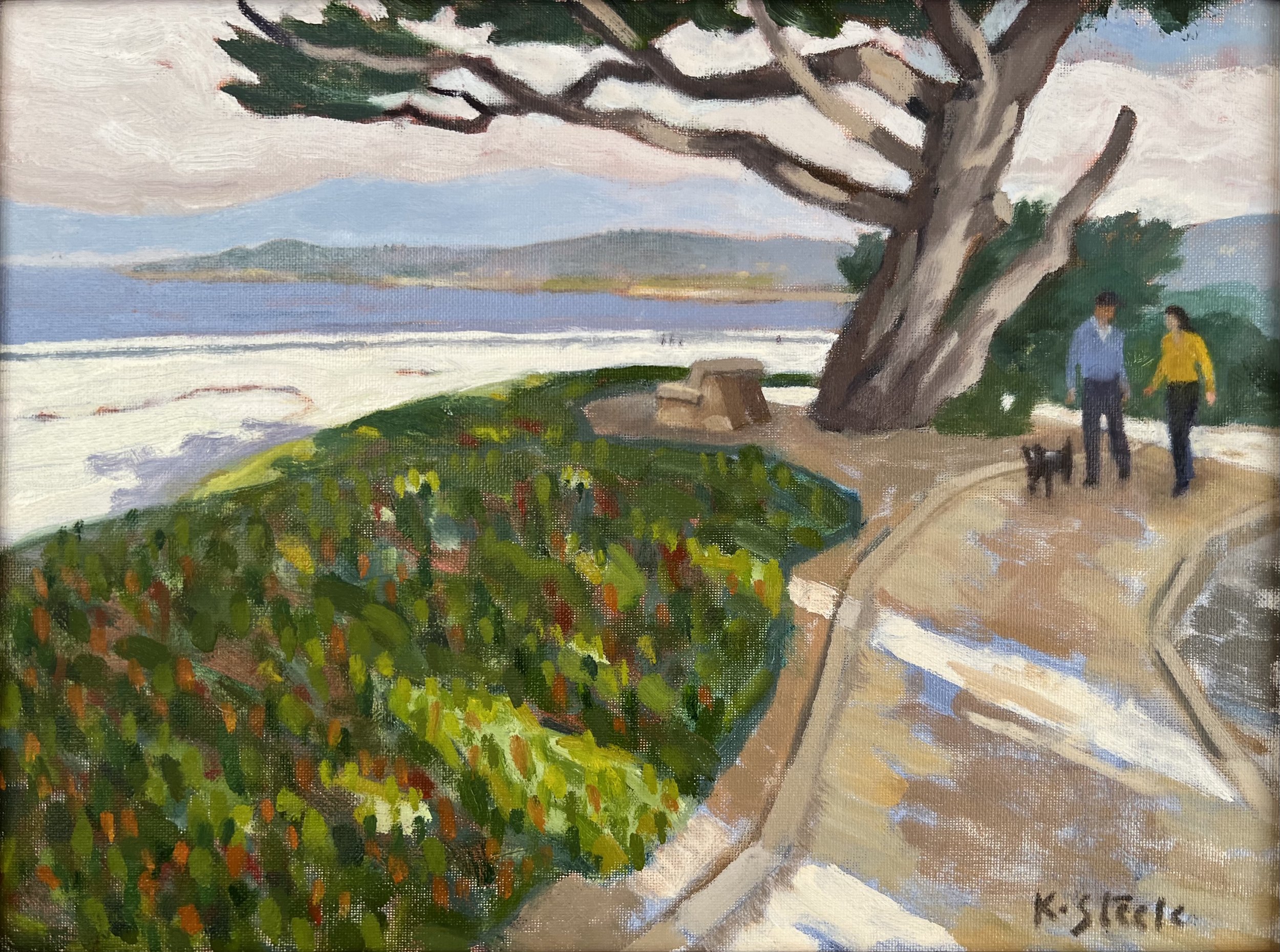 Beach Walkway