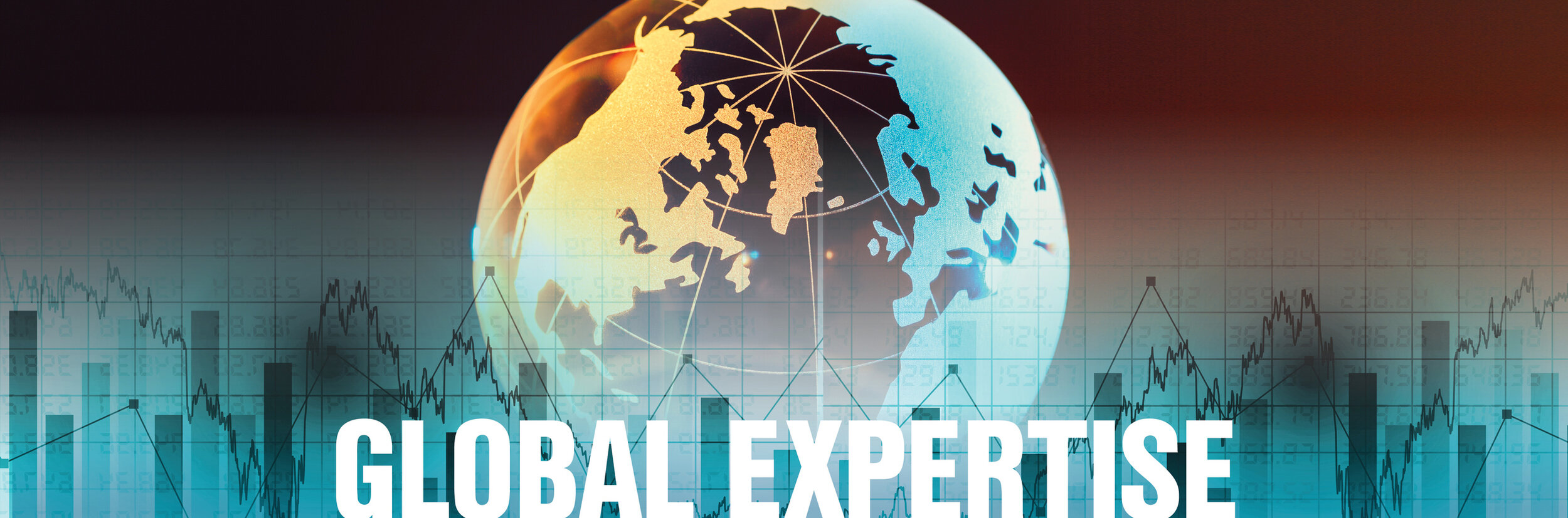 Global Expertise