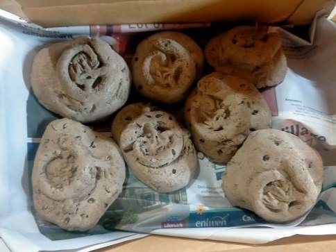 seedbombs.jpg