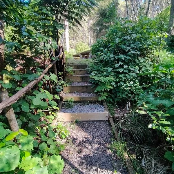 Excited about a workshop opportunity coming up at our place in early September...co-hosted between three of us - rongoā, clay and food forest play! Watch this space 😉

And newsflash 🗲 Spring Beneath the Canopy Food Forest Retreat has almost sold ou