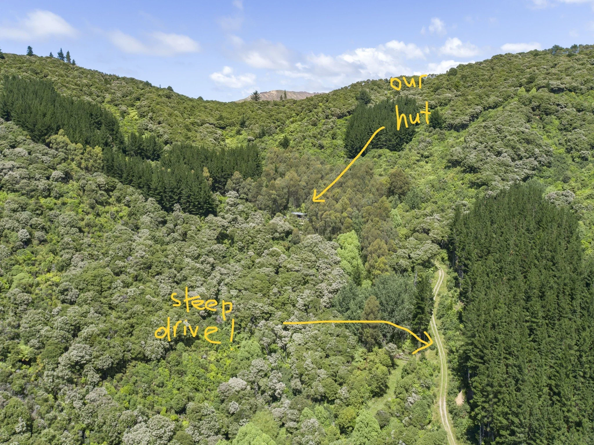 steep drive.jpg