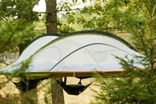 tree tent.jpg