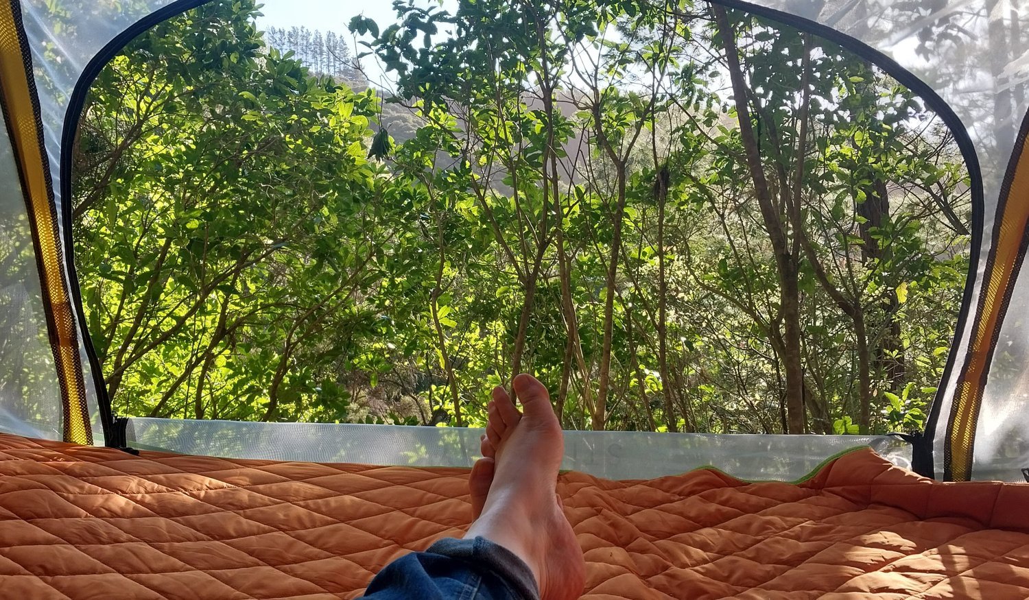feettreetent.jpg