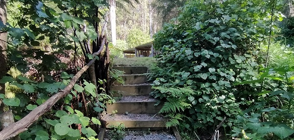 entrance.png