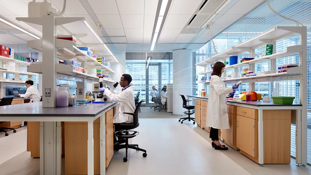 Life in the Lab - Ahmed Lab: Feinberg School of Medicine — The Ahmed ...