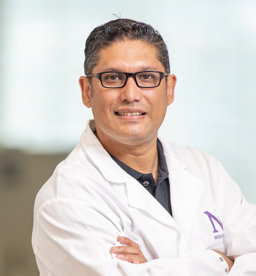 Our Team - Ahmed Lab: Feinberg School of Medicine — The Ahmed Lab ...