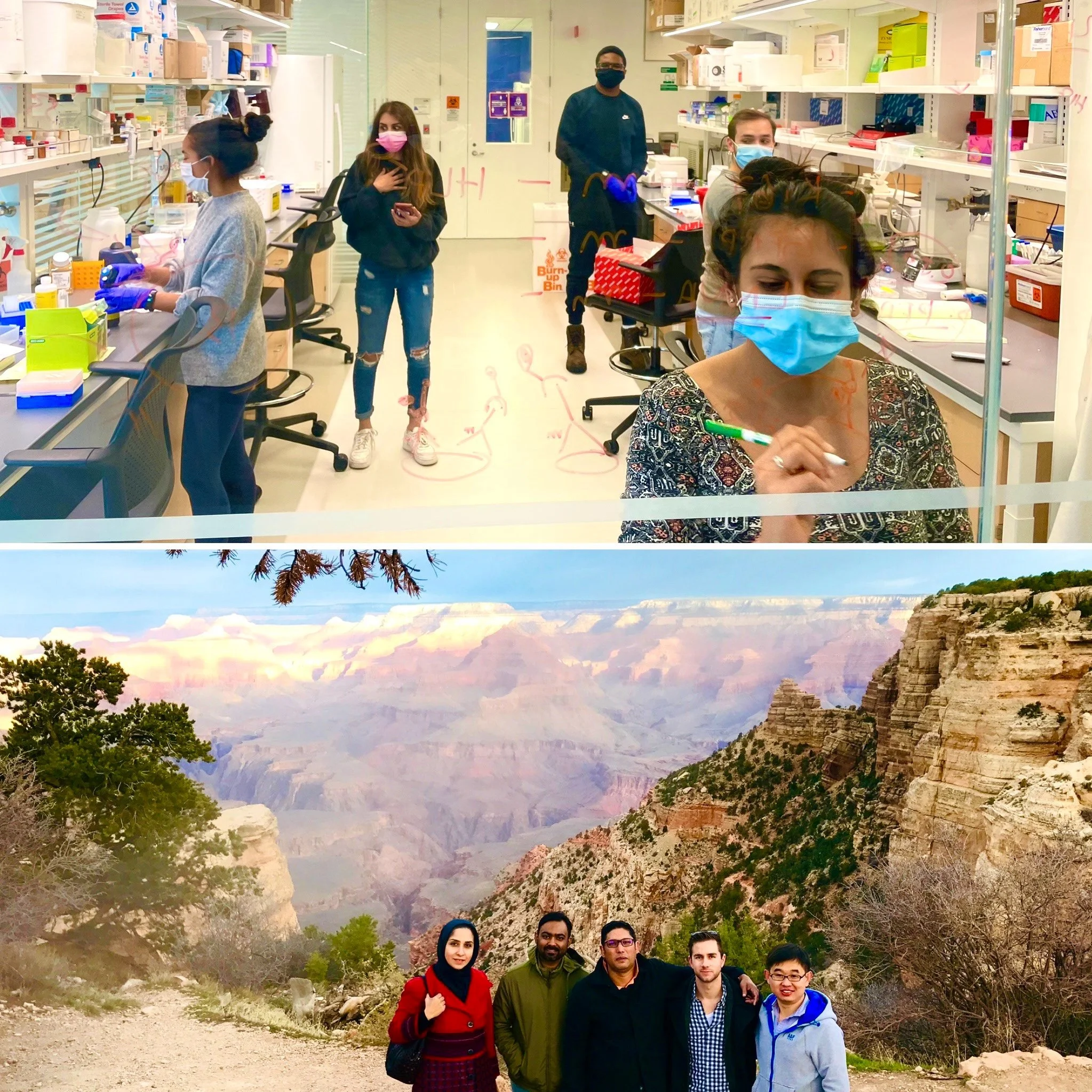 The Ahmed Lab @ Northwestern