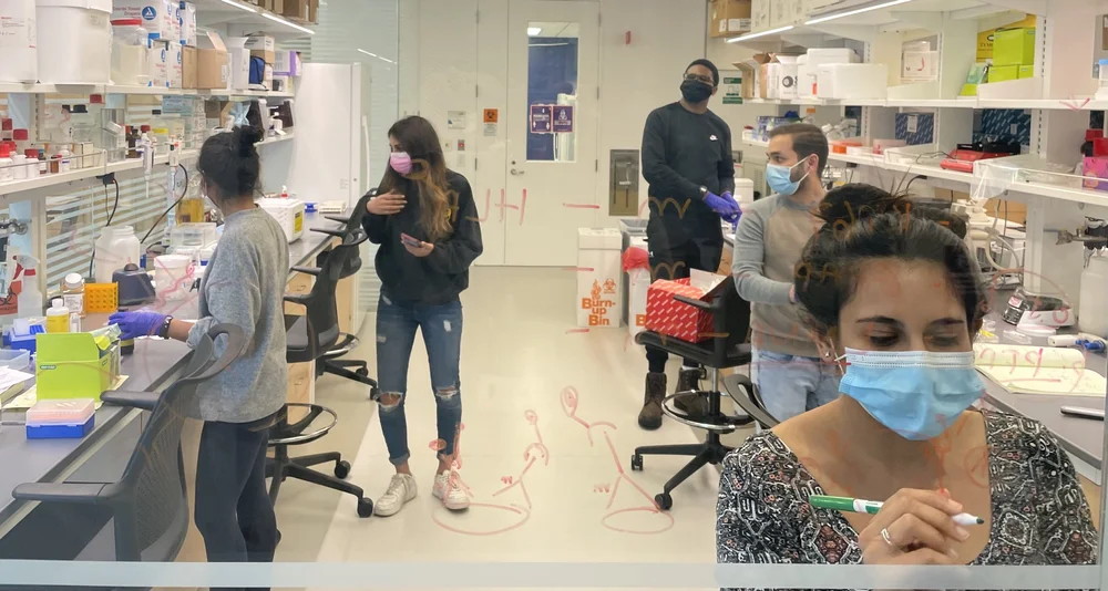 The Ahmed Lab @ Northwestern