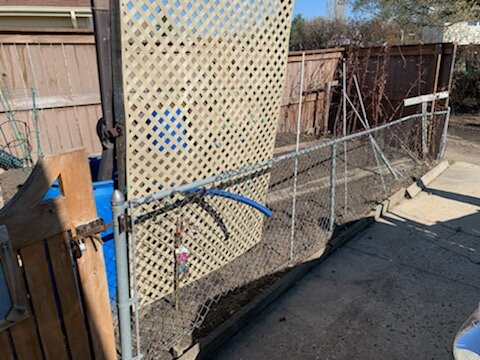 chain-link-fence-1-before.jpg