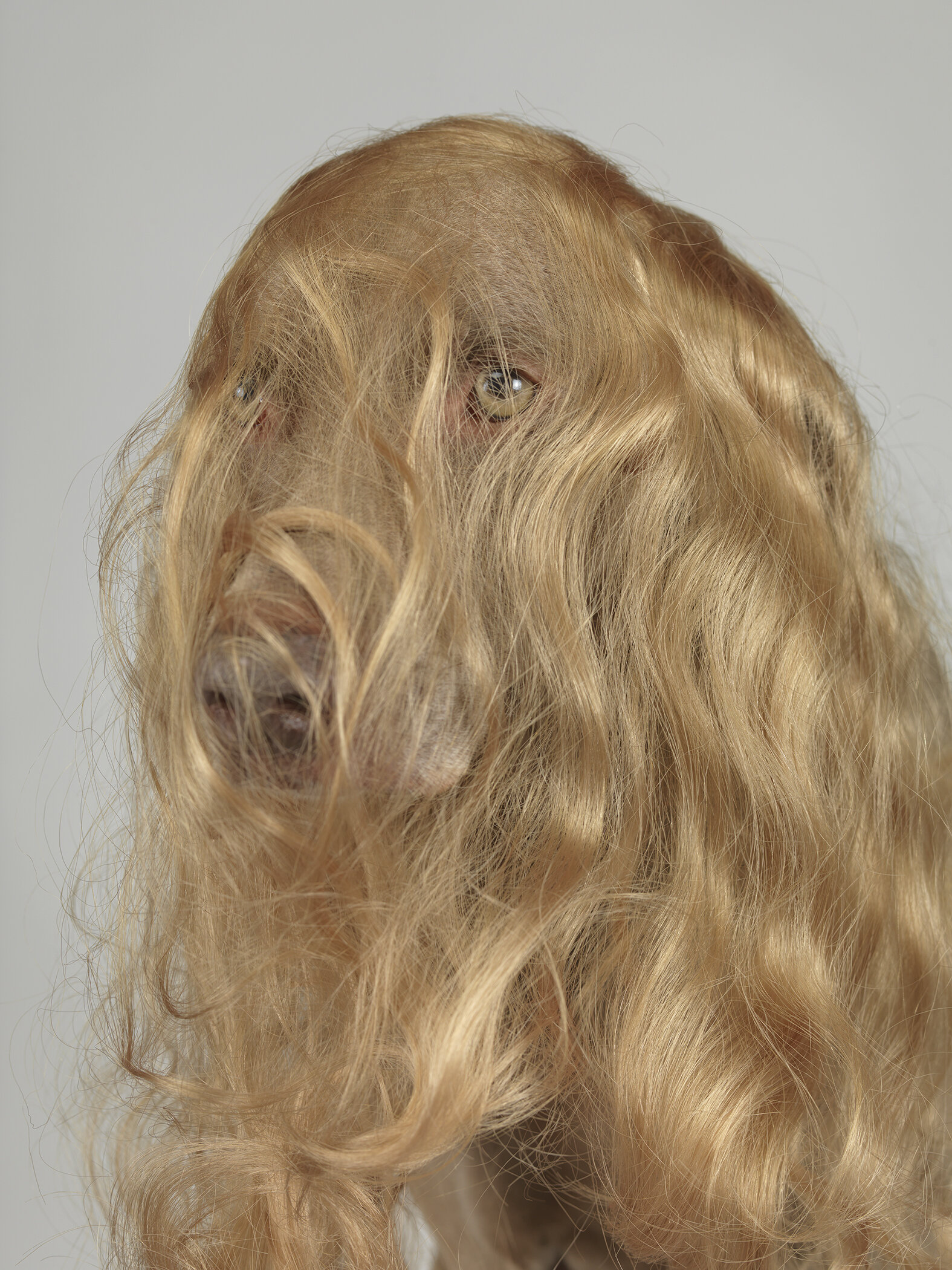 Sia.jpg