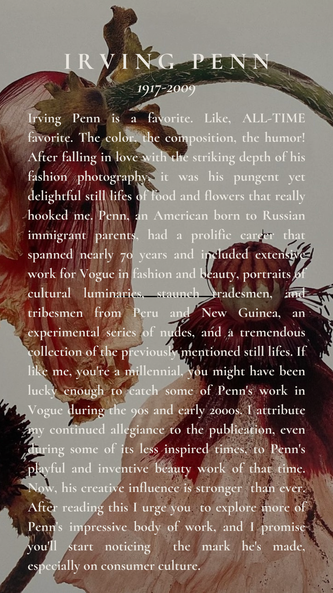 Copy of Irving Penn Story.png