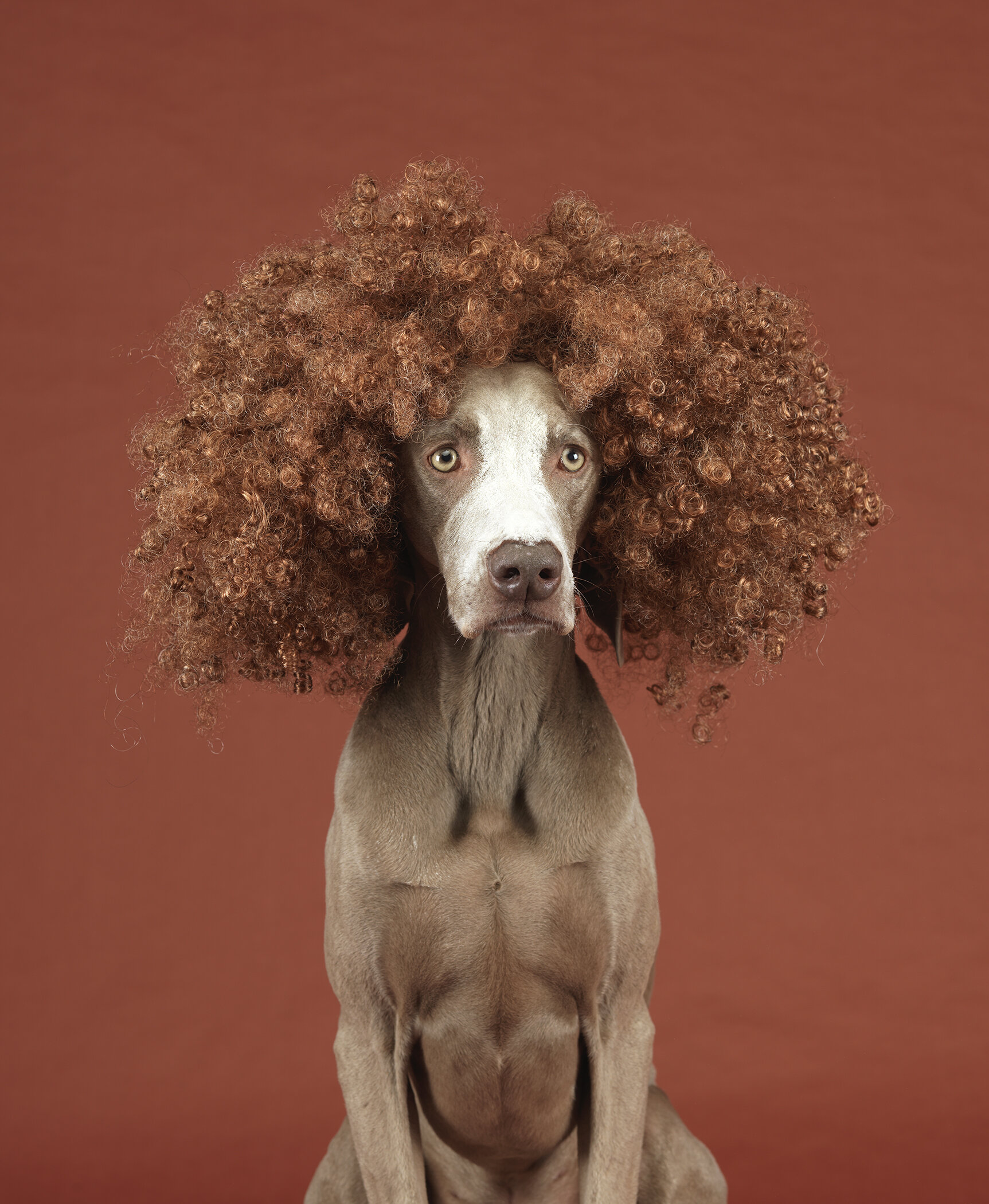 Tilda Swinton.jpg