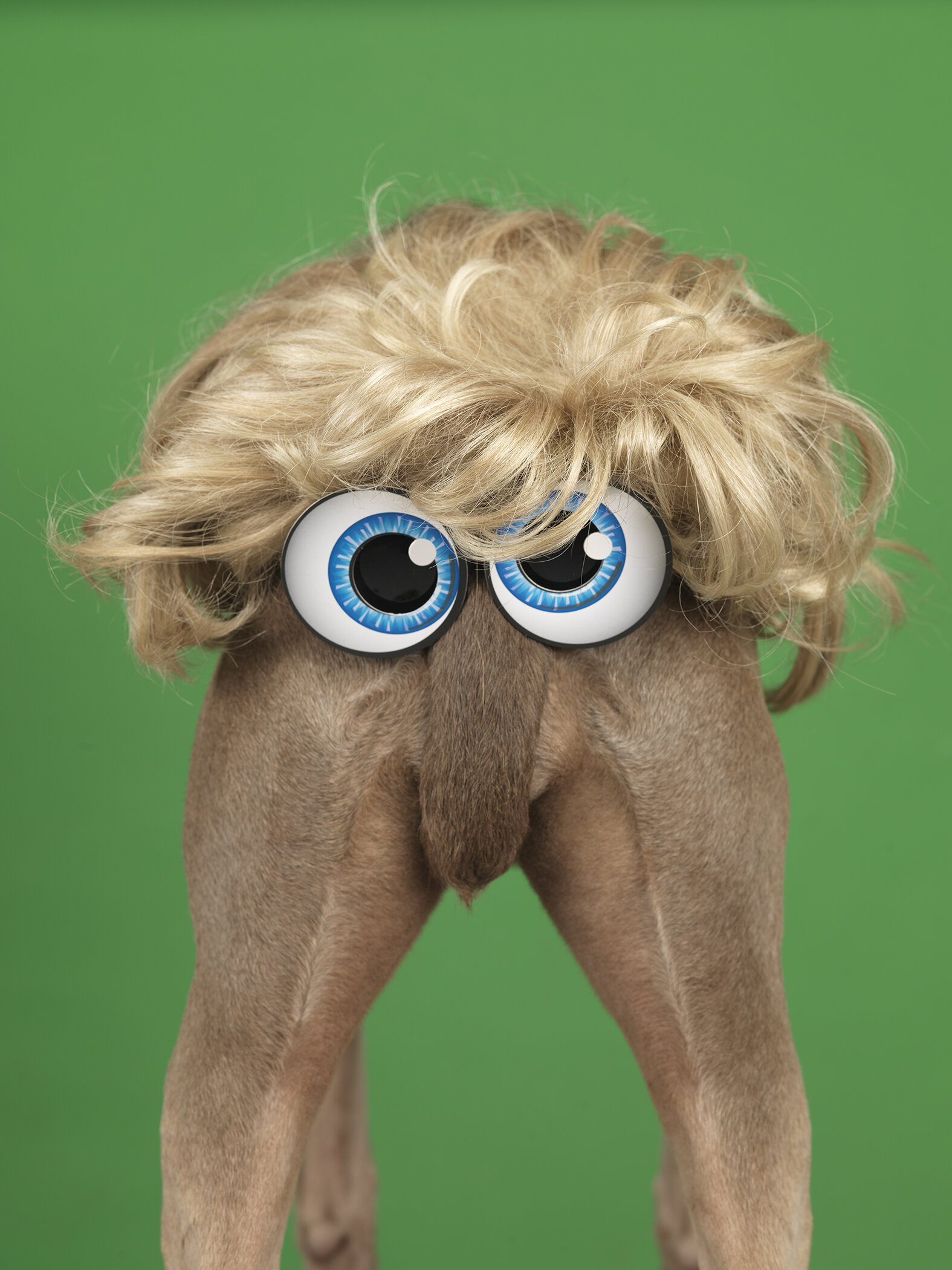 Casey Spooner.jpg