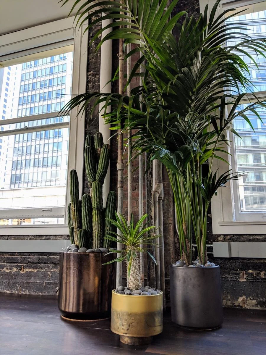 Gallery — The Gardenista Installations and Maintenance in San Francisco