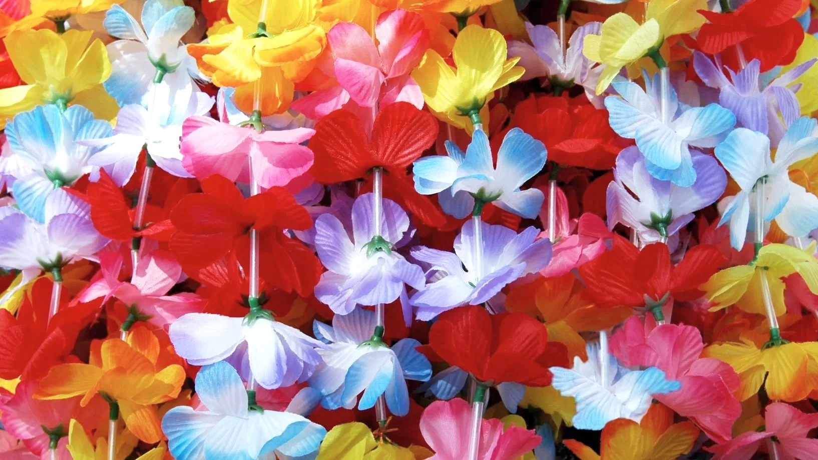 Summer Luau
