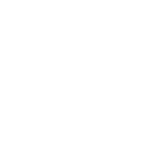 RenoFly Scaled.png