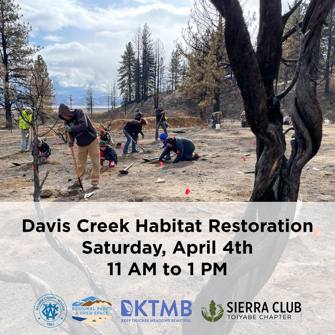 Davis Creek Habitat Restoration