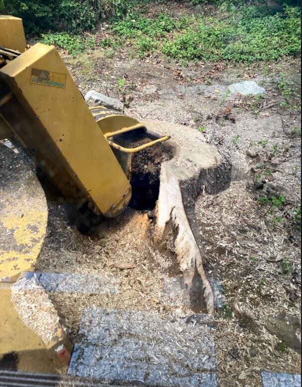Stump Grinding.JPG