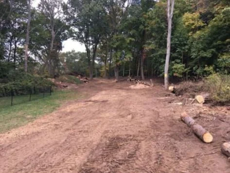TreeRemoval6.JPG