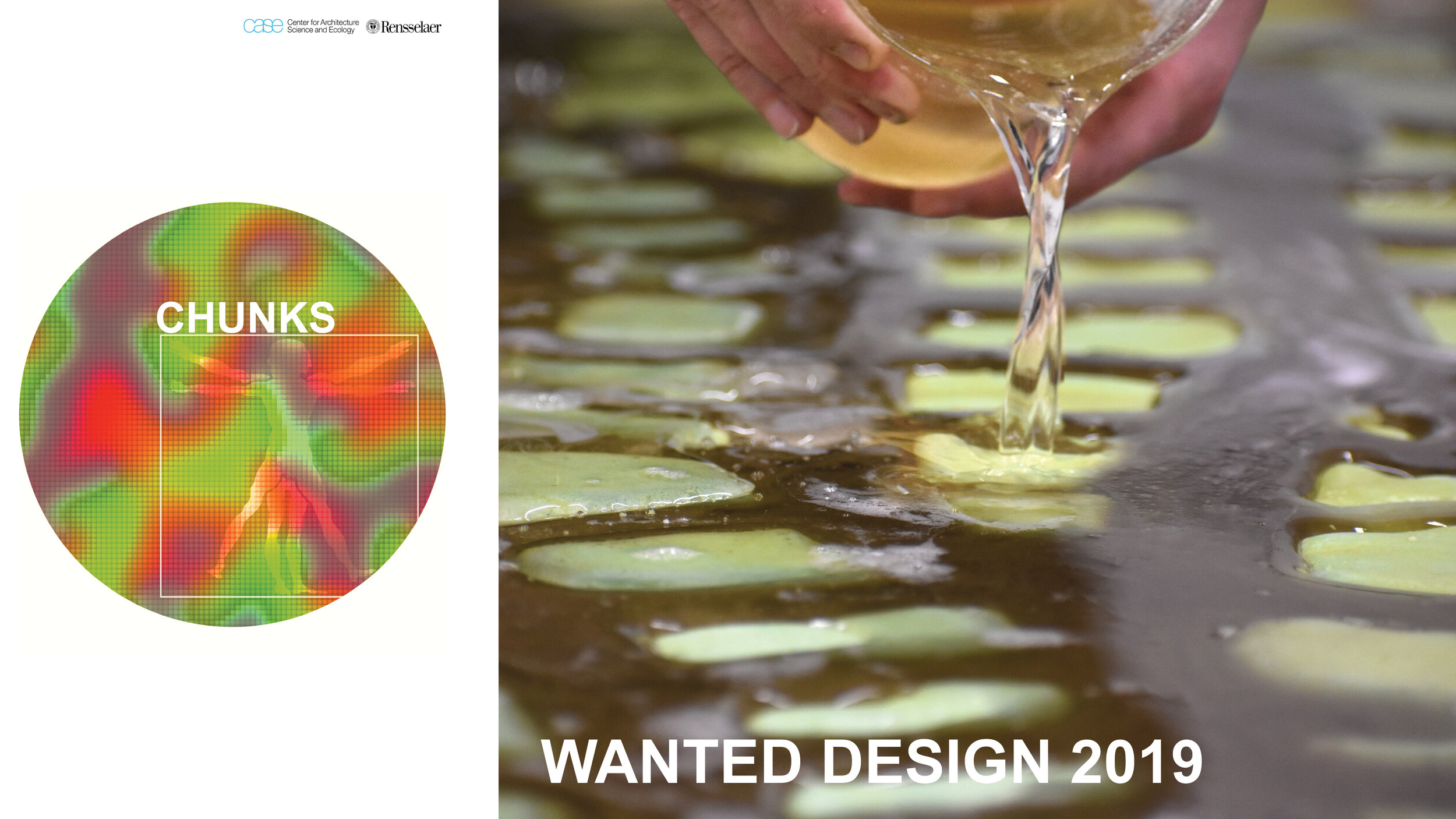 WANTED Design 2019 Presentation.jpg