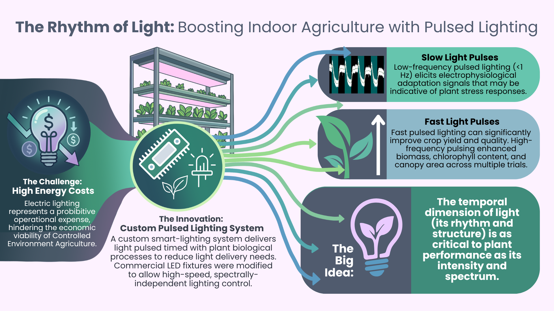Rhythm of Light Infographic.png