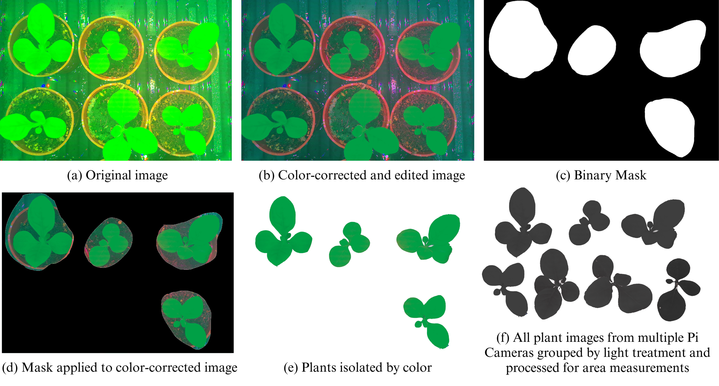 Image Processing 1.png