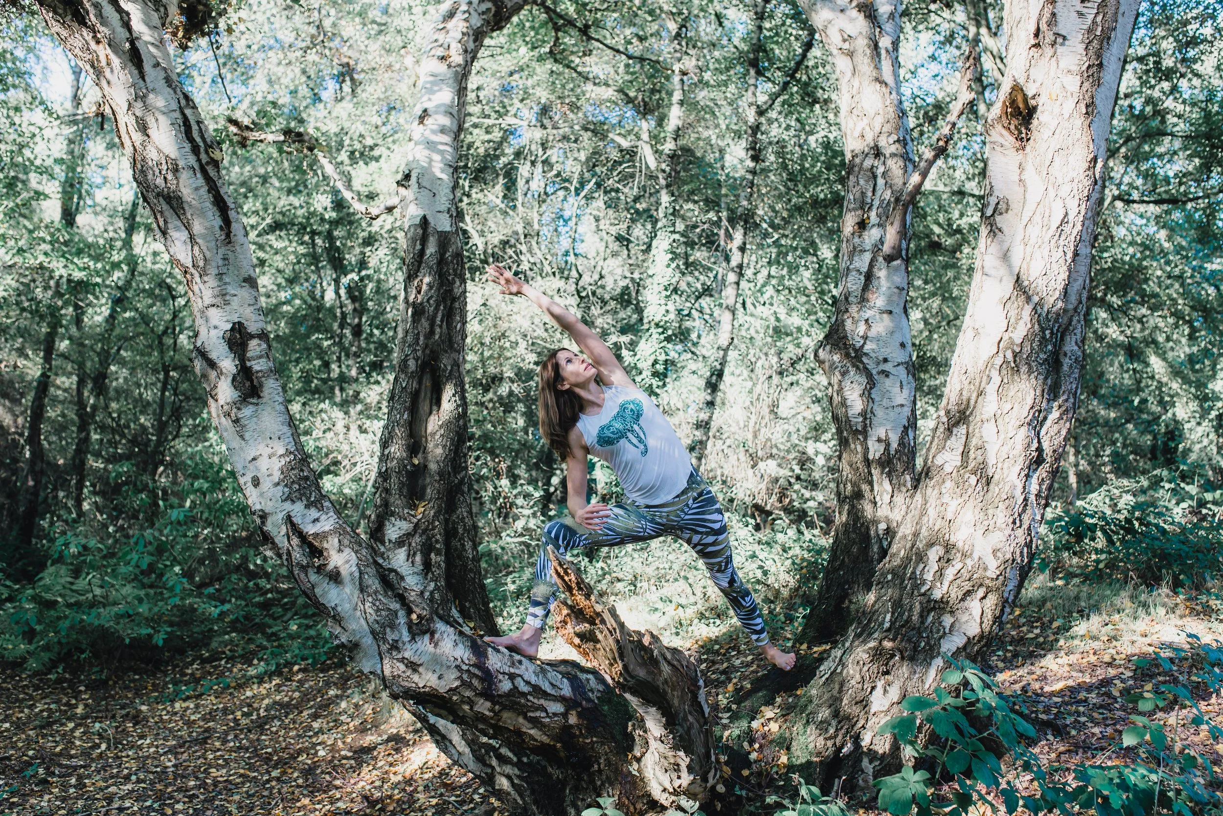 Colour parvakonasana.jpg