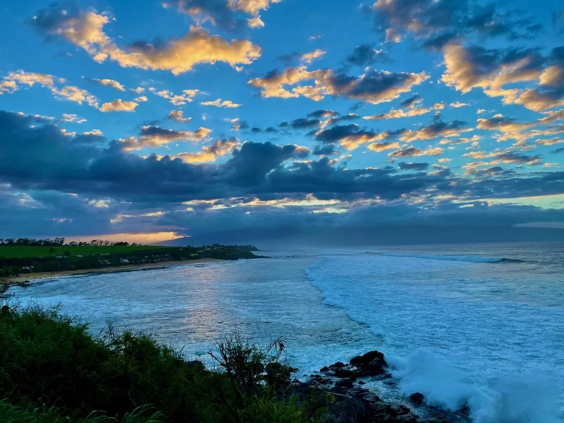 Maui Marches into Spring with Positive Momentum