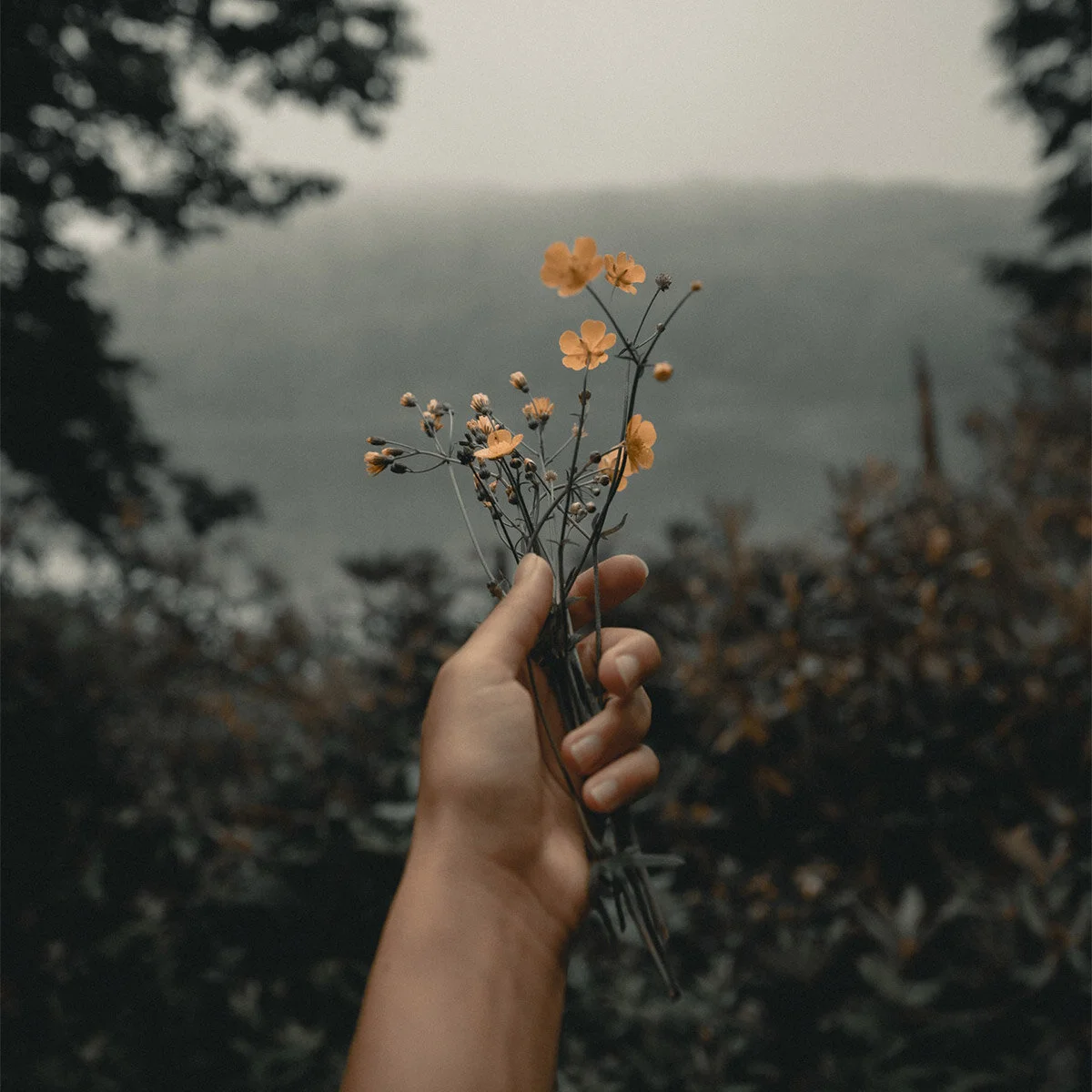 Holding the space...