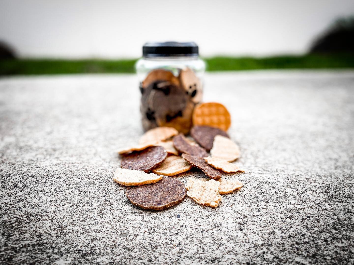 If your treat jar isn&rsquo;t full of all natural, all meat Doggy Dollars, your dog is telling you to reevaluate their treat needs!! 🐾
▫️
Get yours now! 
👉 www.doggydollars.com
or
Shop the products in this post!
▫️
 #americanmade #doggydollars #dog