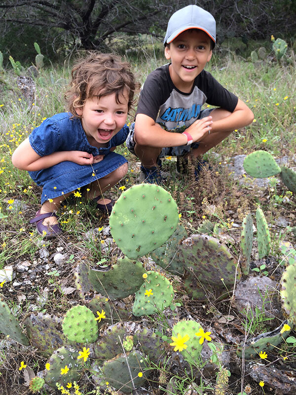 excited-cactus.jpg