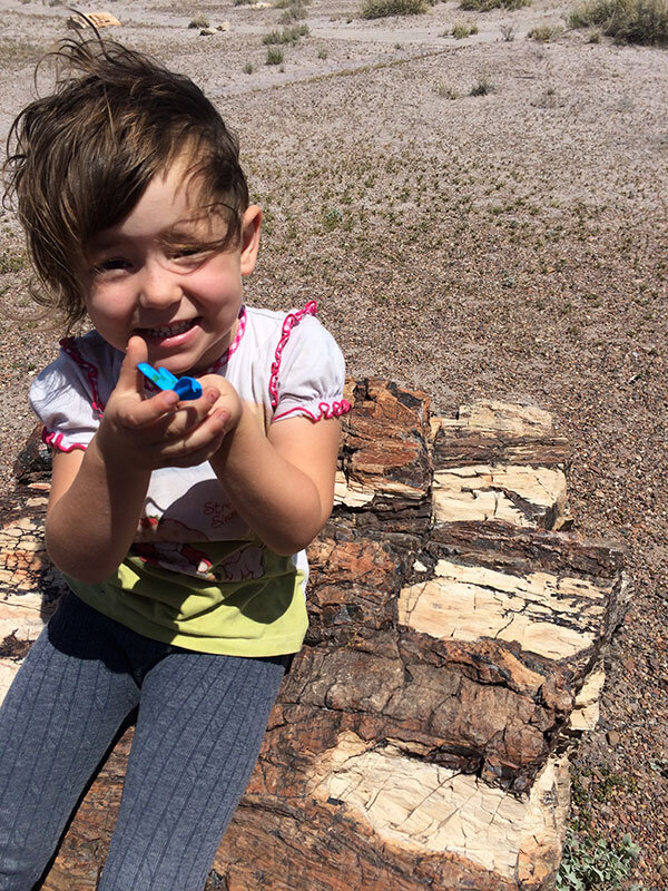 painted-desert-ytoy.jpg