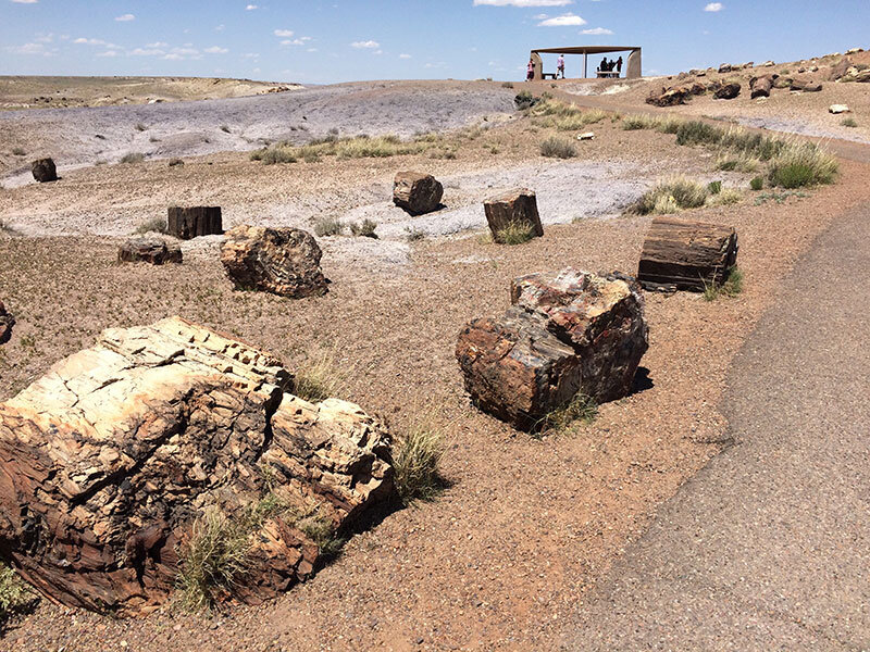 petrified-forest-just-rocks.jpg