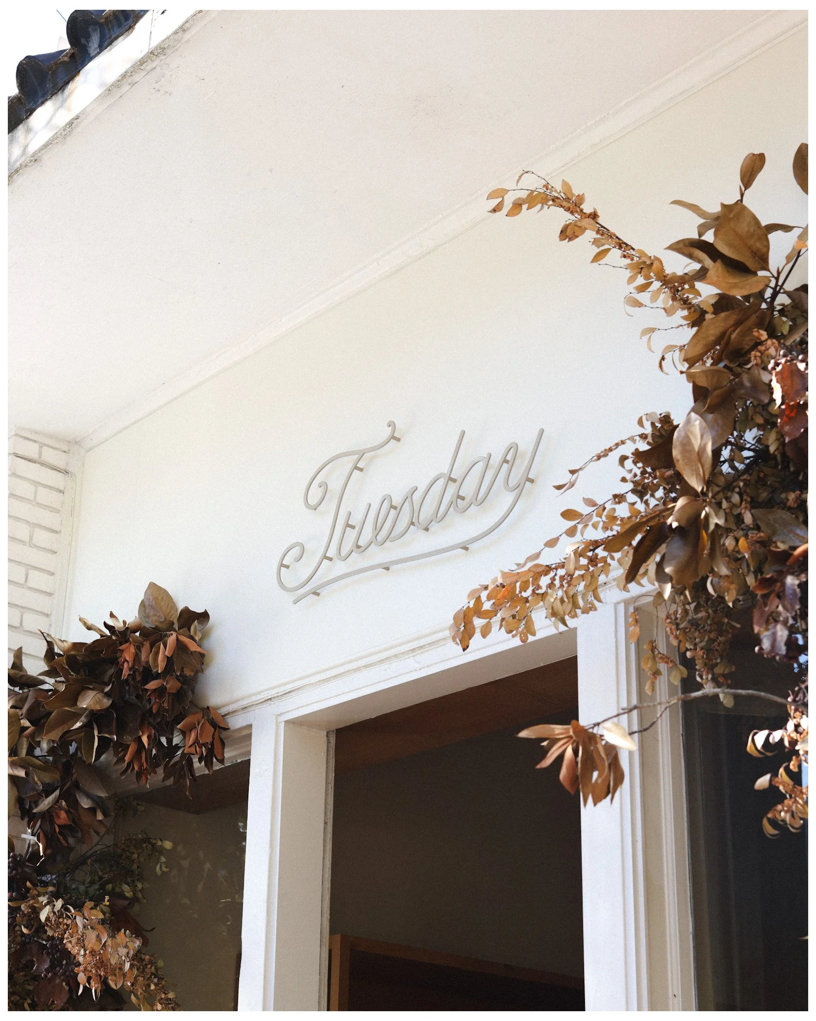 Photo Nov 11 2024, 11 57 19 PM.jpg