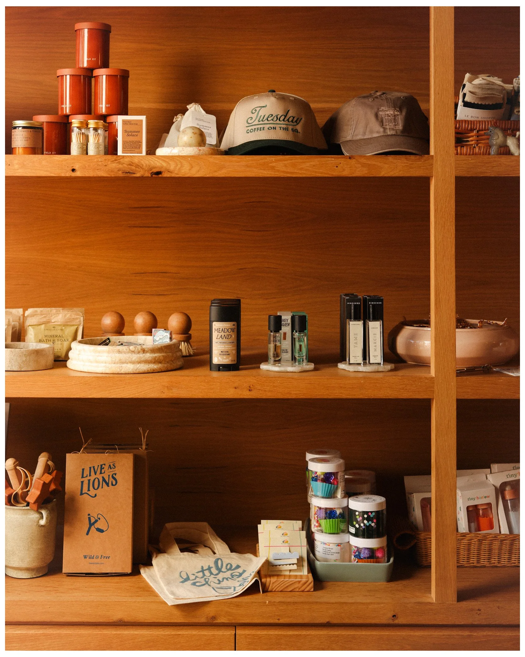 Photo Nov 11 2024, 11 44 33 PM.jpg