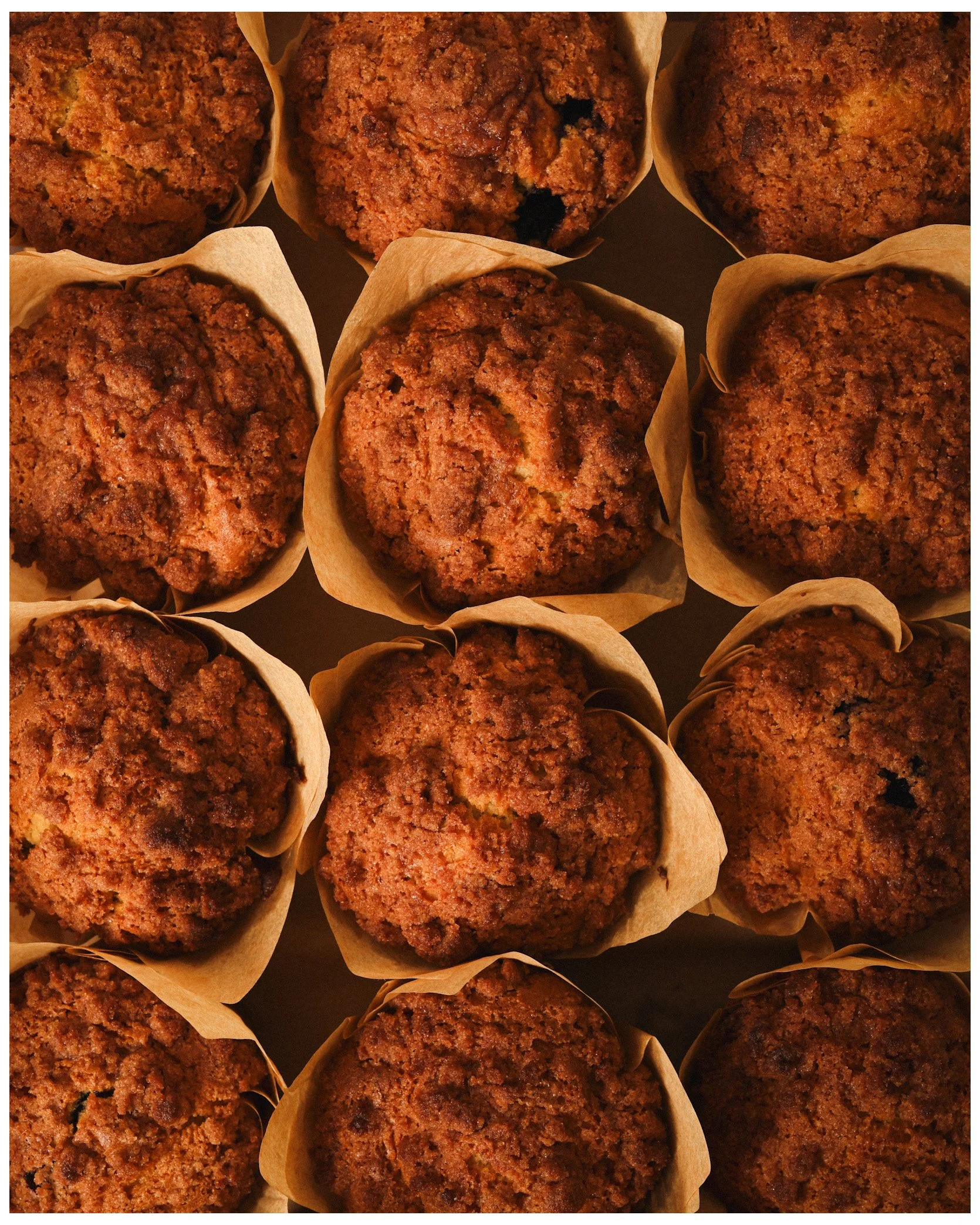 Photo Nov 12 2024, 1 16 04 AM (1).jpg