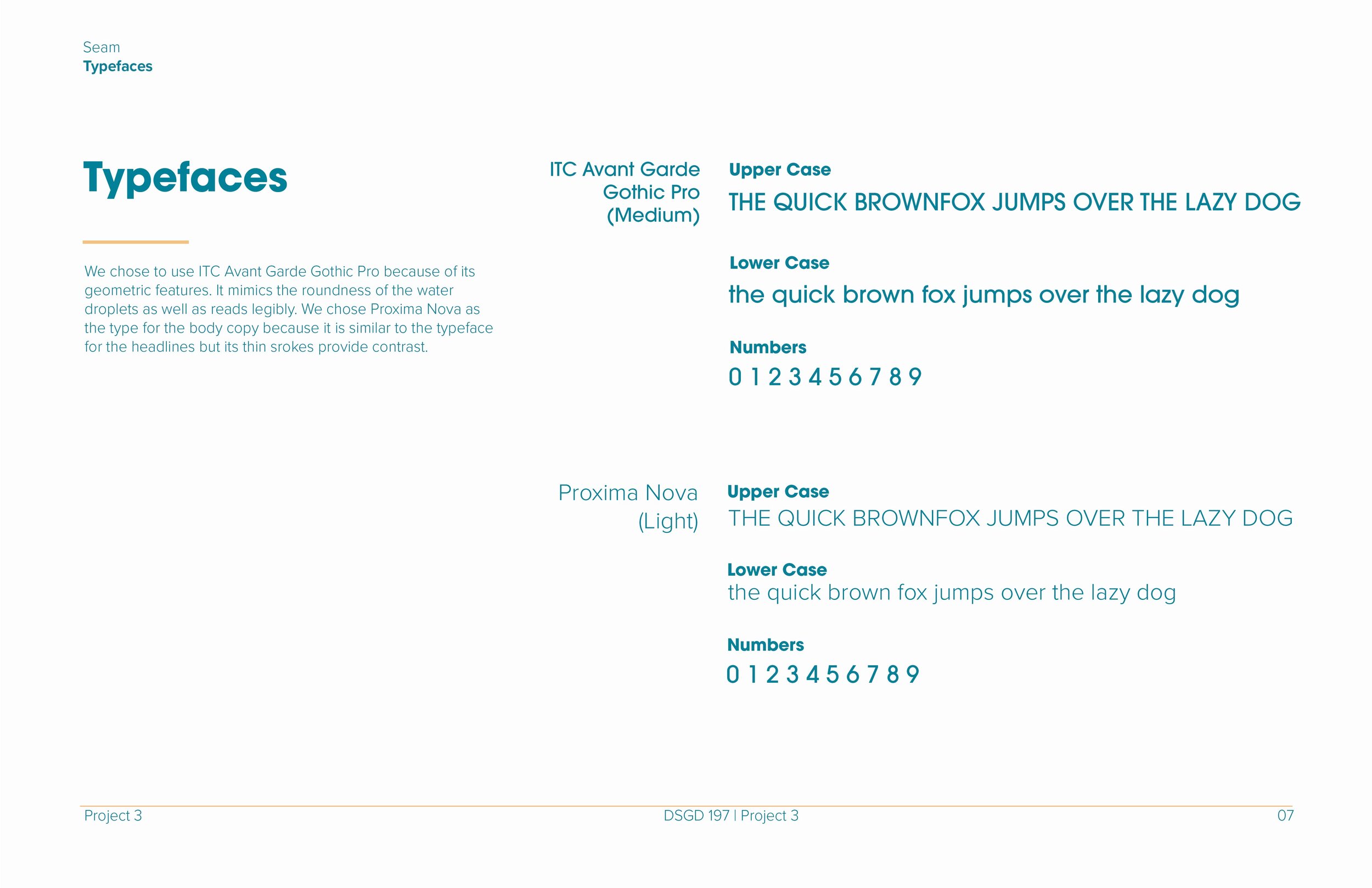 seam_brandguide_final_Typefaces.jpg