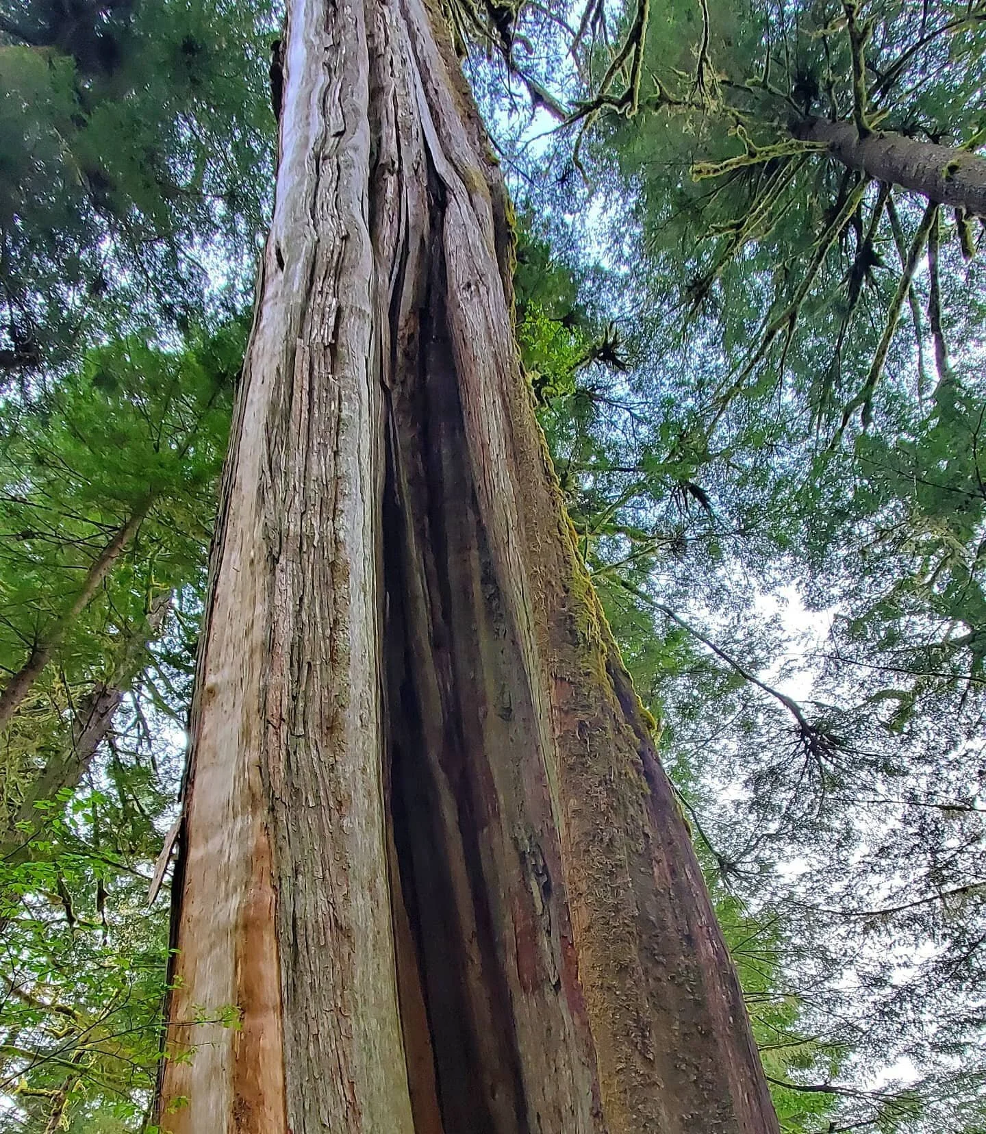 &ldquo;Mental health begins with reconnecting to our strengths, values and beliefs&rdquo; - Dr. Barney Williams

www.leo.consulting/barney

#firstnations #wellness #aboriginal #mentalhealth #indigenous #communitywellness #culture #fnha #indigenousbc