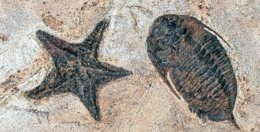 The Evolution of Account Planning in Salesforce